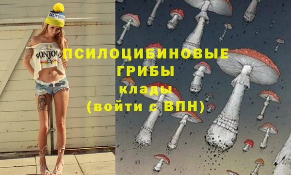 mdpv Ладушкин